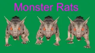 Monster Rats Mouses Green Screen Blue Screen Black Screen Best HD Monster Animals Green Screen Video