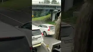 Вася