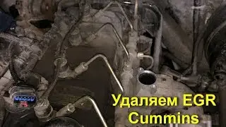 Удаляем егр на газели некст. пробег 70 000км