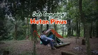 Solo Camping Di Hutan Pinus | Suara Kicau Burung Bersahutan