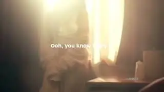I love it when you call me senorita 🥰 #shorts #lyrics #status