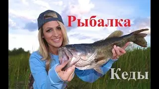 песня 