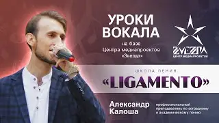 Уроки вокала в Донецке /  Школа пения «Ligamento»