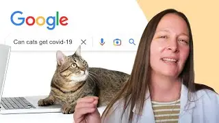 The 10 Most Frequently Asked Cat Questions