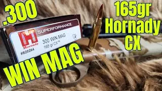 .300 Winchester Magnum 165gr Hornady Superformance CX Review
