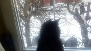 Семушка