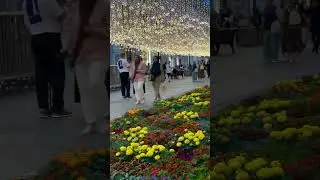 Индивидуальные экскурсии по Москве. Ссылка в профиле