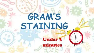 Gram's staining under 3 minutes