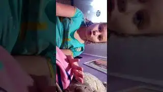 LPS violr берегись