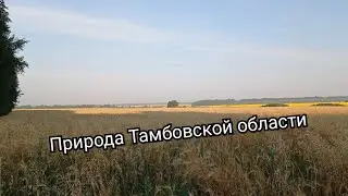 Природа Тамбовской области