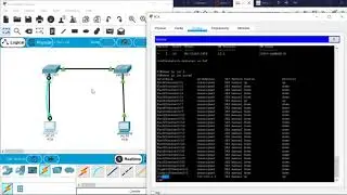 (CCNA-I-v7) 2.9.2 Basic Switch and End Device Configurations (Lab)