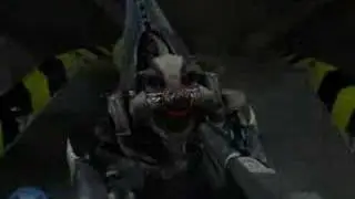 Halo Secret Scene