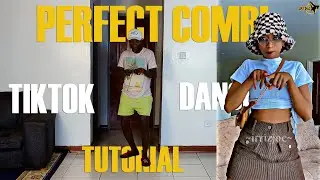 Perfect Combi 😍 TikTok Dance Challenge  TUTORIAL | King Promise ft Gabzy