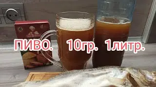 Ч1..🍺🍺САМОЕ БЮДЖЕТНОЕ ДОМАШНЕЕ ПИВО
