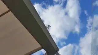 Summer sky