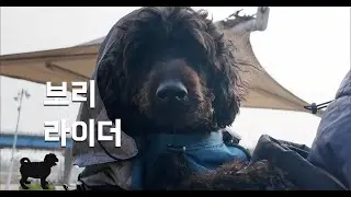 보리 라이더 - Rider Bori