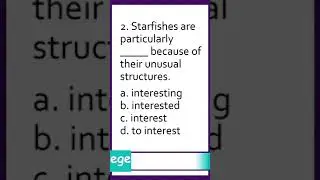 English Grammar Exercises 