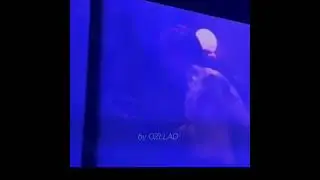 Johnny Are U-