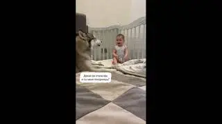 ПРИКОЛЫ В ТИК ТОК 2021  😎 ЛУЧШИЕ ПРИКОЛЫ 2021 😎 Top TikTok 2021