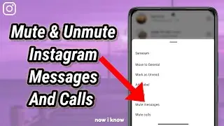 How To Mute & Unmute Instagram Messages And Calls 2024