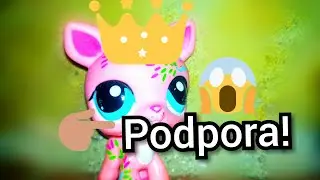 Podpora pro Vikču Mikču