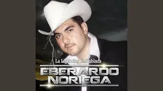 Los Juniors De Culiacan