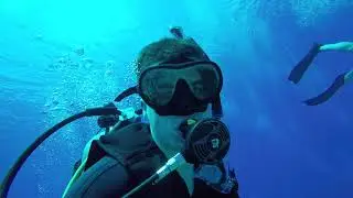 Crazy Wall Dive - Turks and Caicos