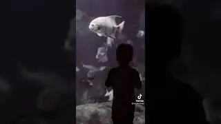 Why