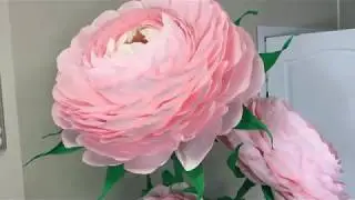 Ростовая роза своими руками.
