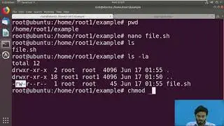 Introduction to shell scripting variables and file sourcing