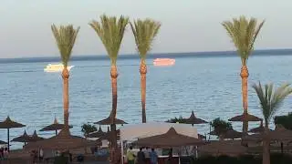 Египет, отель Royal Grand Sharm, г.Шарм эль Шейх  ( 17 - 26 мая 2019 г. )