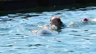 Swimming With the Dolphins