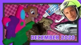 FloralTrash LIVE - Best of December 2020