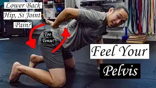 Pelvic Awareness for Hypermobility, EDS, Si Joint, Pelvic Floor, Hip and Lower Back Stability