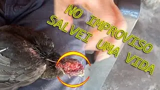 NO IMPROVISO SALVEI UMA VIDA