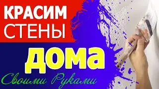 Как покрасить стены в квартире