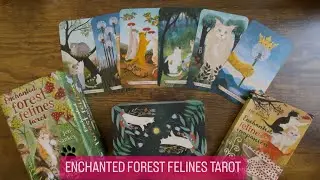 Enchanted Forest Felines Tarot |⭐️Pre-Release⭐️| Full Flip Through