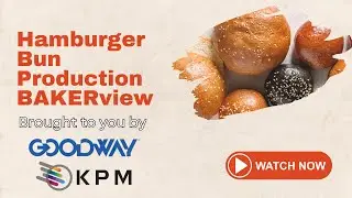 Hamburger Bun Production | BAKERview | BAKERpedia