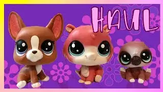 LPS Haul - New & Unique Pets!
