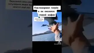 20 июня 2022 г.(1)