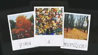 VJ Oksa & Freptiloid — Ноябрь (Audio)