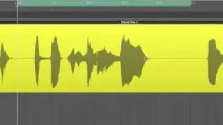 Apple - Software - Logic Studio - Flex Time - Flex Tool