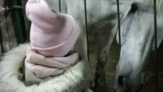 Настя  в конюшне  с подружкой Полиной . 2 часть .