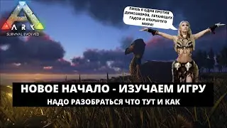 ARK: SURVIVAL EVOLVED 2021 - НОВОЕ НАЧАЛО - ИЗУЧАЮ ИГРУ В СОЛО / ПРИРУЧАЕМ ДИНО И ИЩЕМ РЕСУРСЫ #5