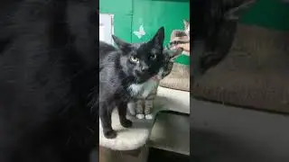 Хорошие новости сутра 👍🏻