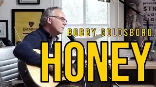 Honey - Bobby Goldsboro - ACOUSTIC COVER