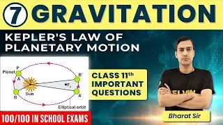 #7 - Gravitation Imp Questions 2023-24 | Kepler's Law of Planetary Motion | Class 11 Physics