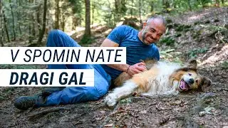 V SPOMIN NATE, DRAGI GAL ❤️🐾
