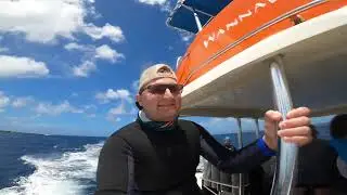 Scuba Diving A Shipwreck In Bonaire!!
