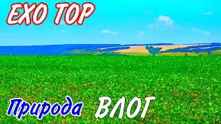 VLOG 2020! ДЕРЕВНЯ, ПРИРОДА, ЛЕС, ПОЛЯ И Т.П. EXO TOP